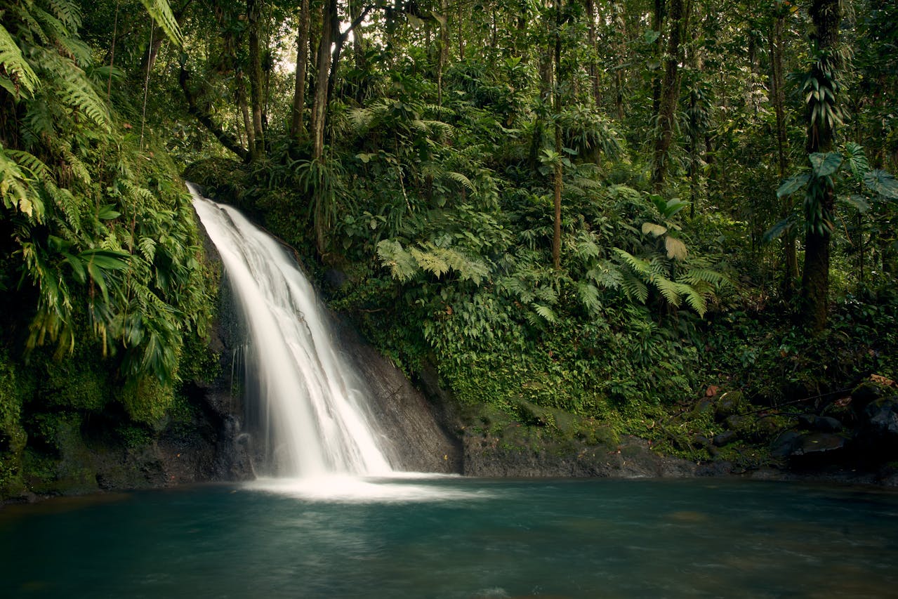 Cascade en Guadeloupe