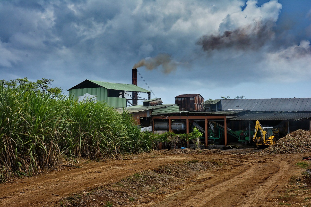 Distillerie en Guadeloupe