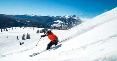 Vacances au ski