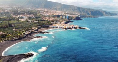 Tenerife Canaries