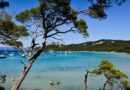 Plage de Porquerolles